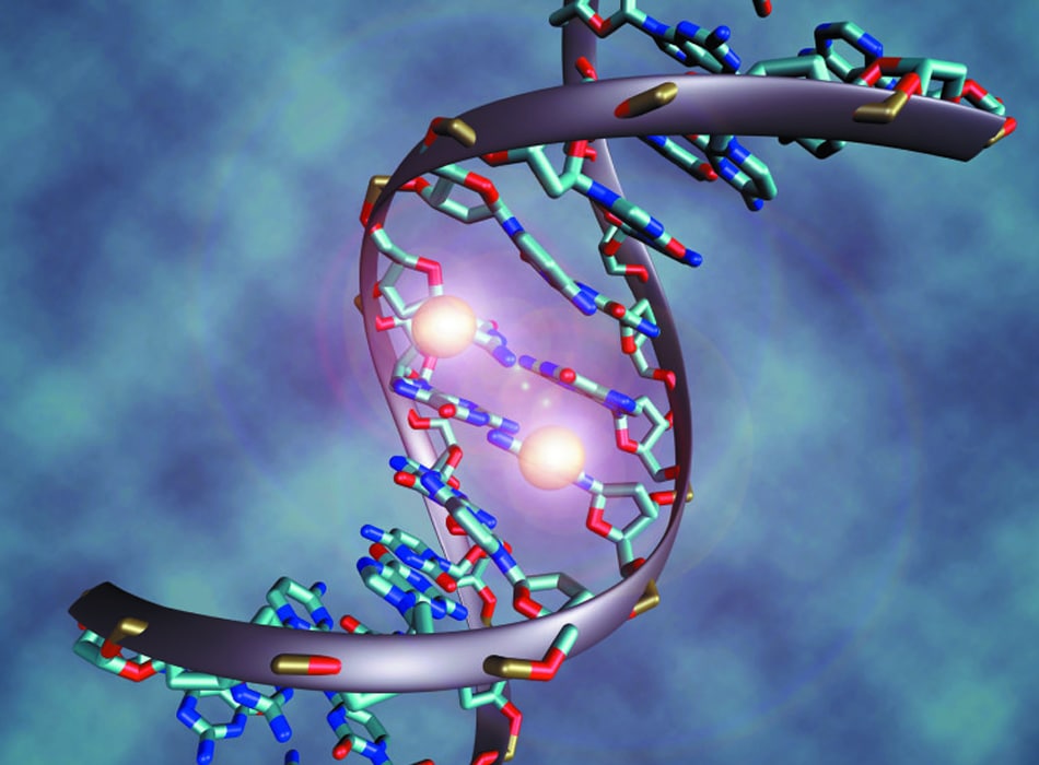 Epigenética vs. Genética: Más Allá de los Genes